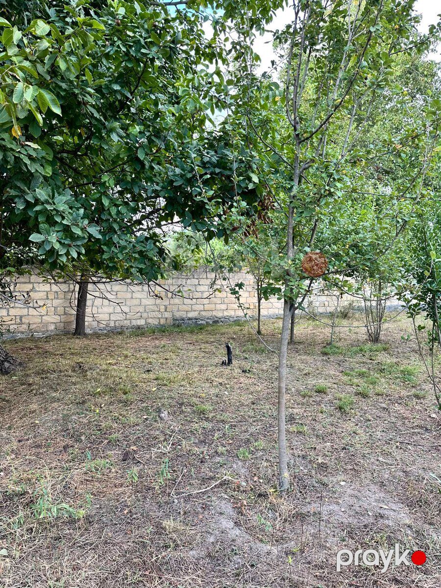 11 sot torpaq sahəsi, Qəbələ r — Torpaq, Qəbələ (8)