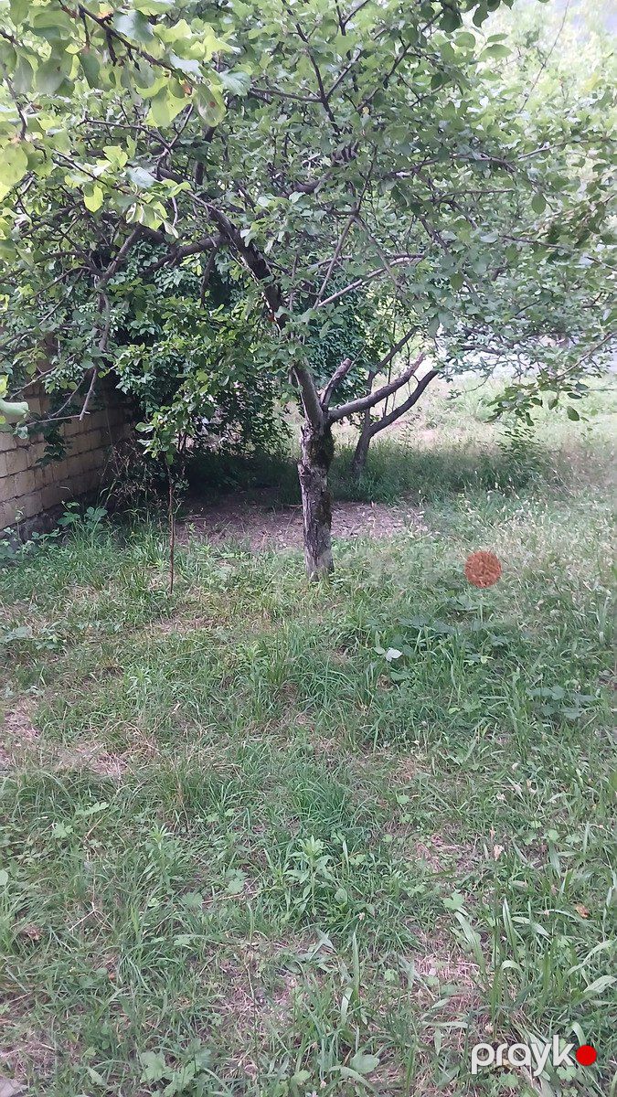 Satılır torpaq 5 sot — Torpaq, İsmayıllı (5)