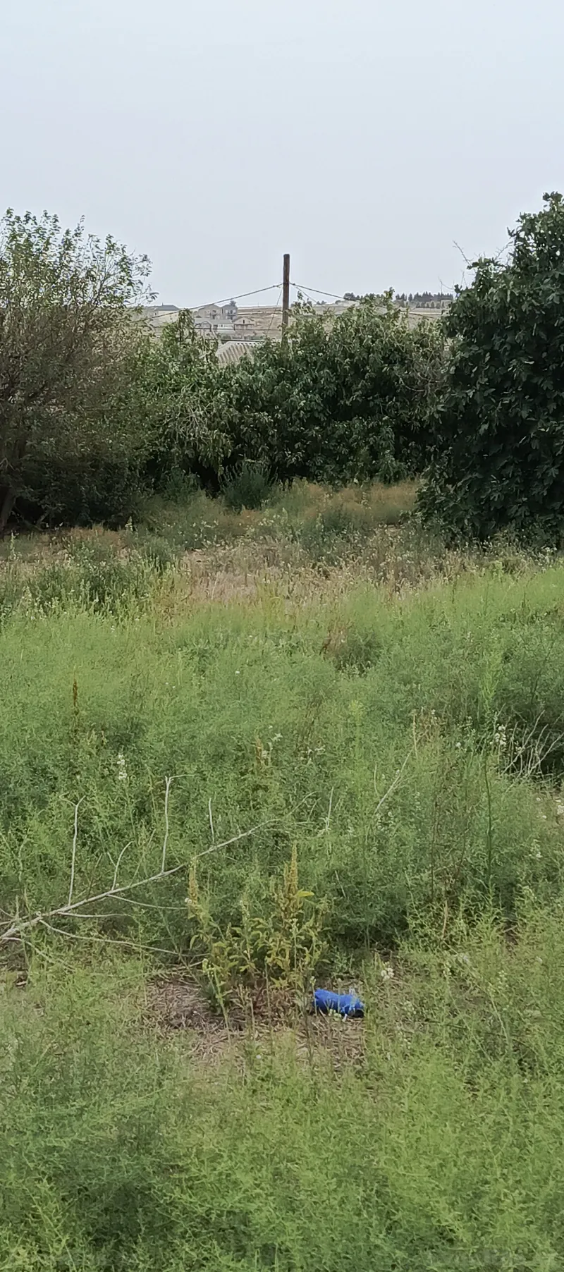 Satılır Torpaq 15 sot Bakı, Abşeron r., Azadlıq prospekti m., Digah — Bakı