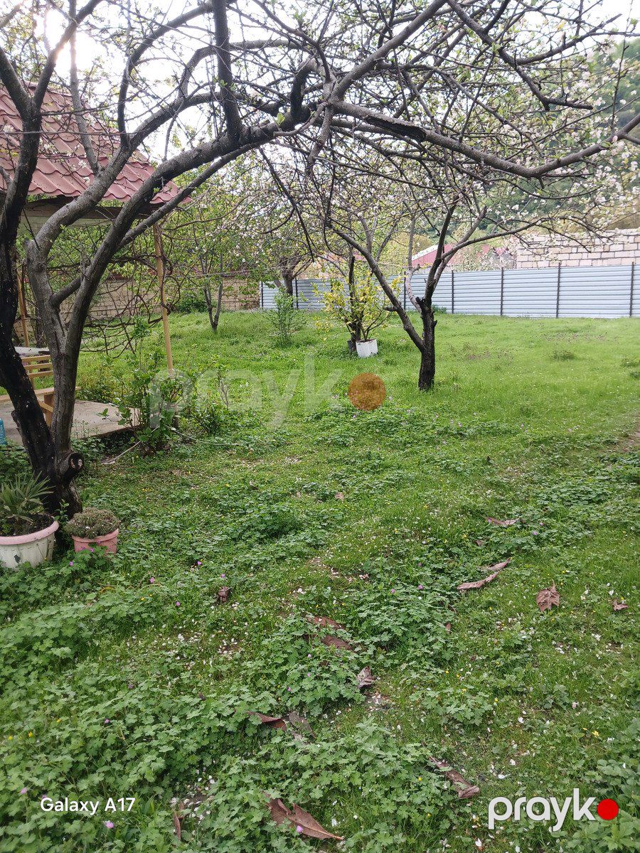 Satılır torpaq 5 sot — Torpaq, İsmayıllı (6)