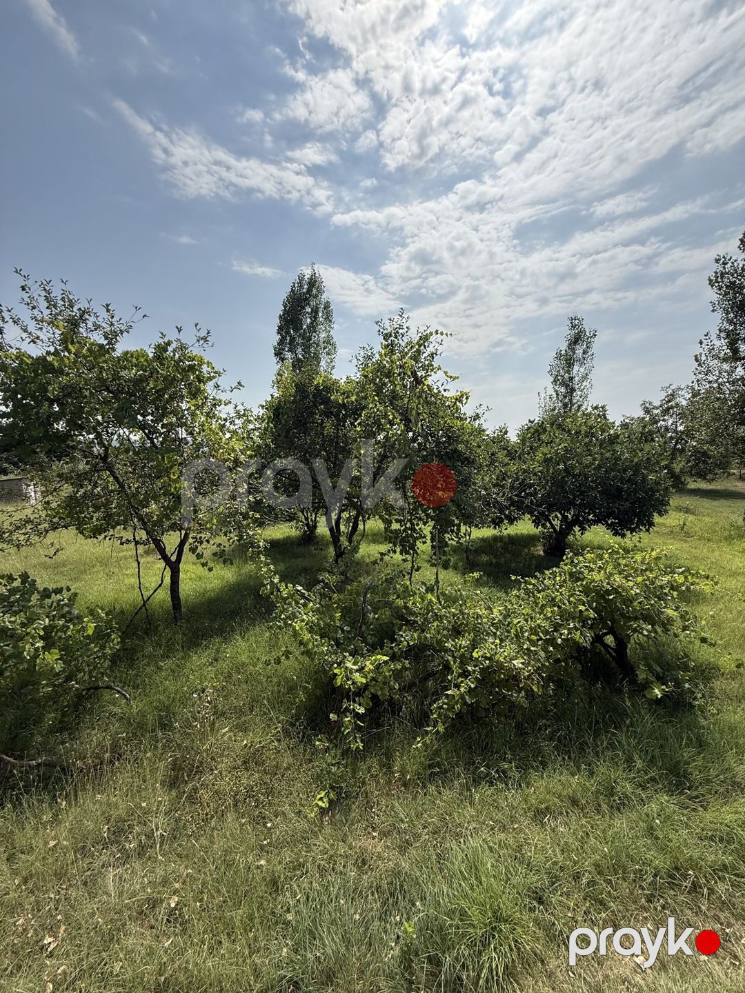Satılır 4 otaqlı həyət evi/bağ evi 150 m² — Ev, villa, İsmayıllı (10)