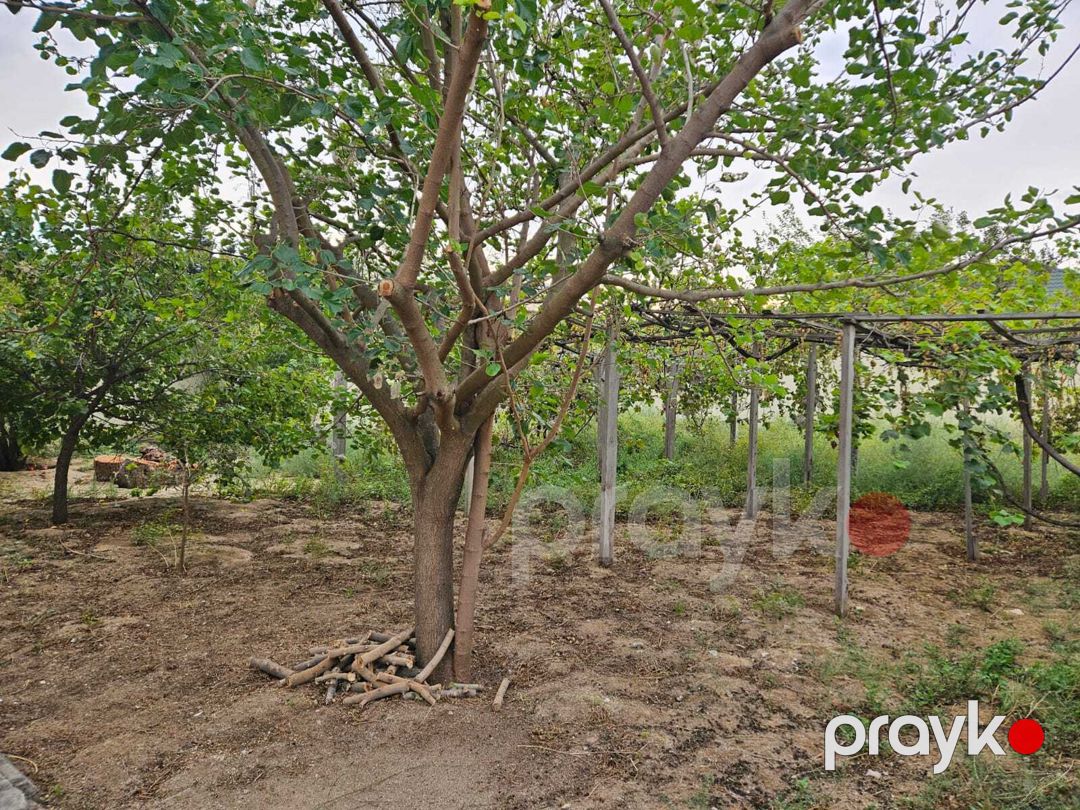 Satılır 5 otaqlı həyət evi/bağ evi 260 m² — Ev, villa, Bakı (7)