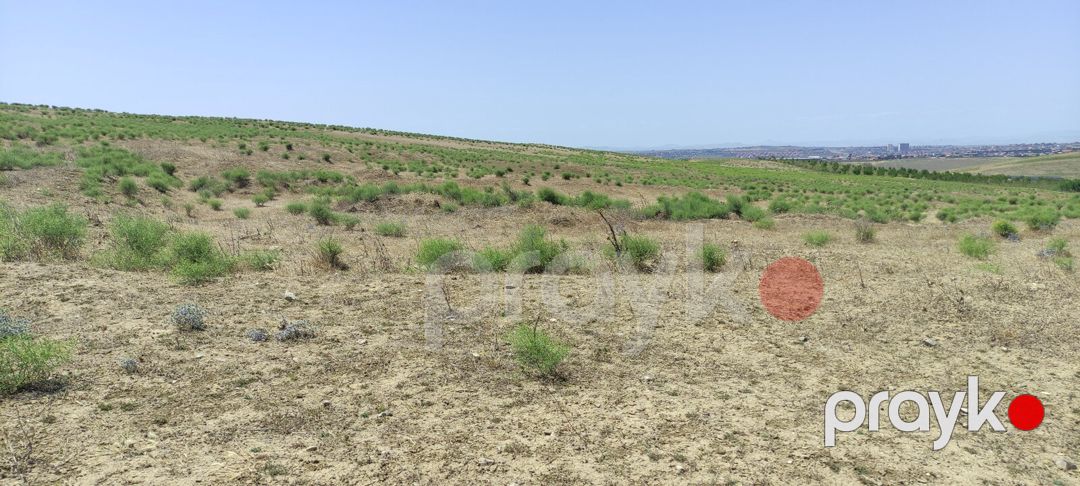 Satılır torpaq 81.5 sot — Torpaq, Bakı (9)