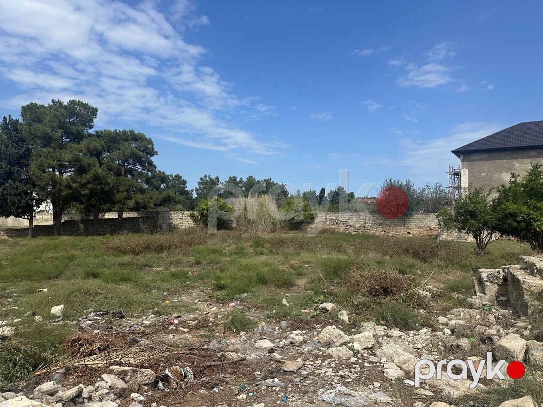 Satılır torpaq 22 sot — Torpaq, Bakı (6)