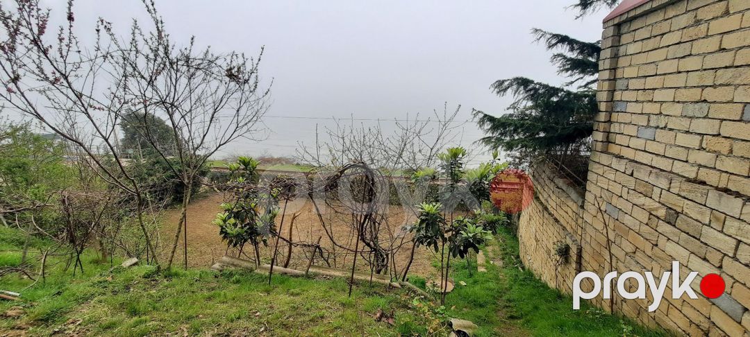 Həyət evi, Lənkəran ş — Ev, villa, Lənkəran (9)