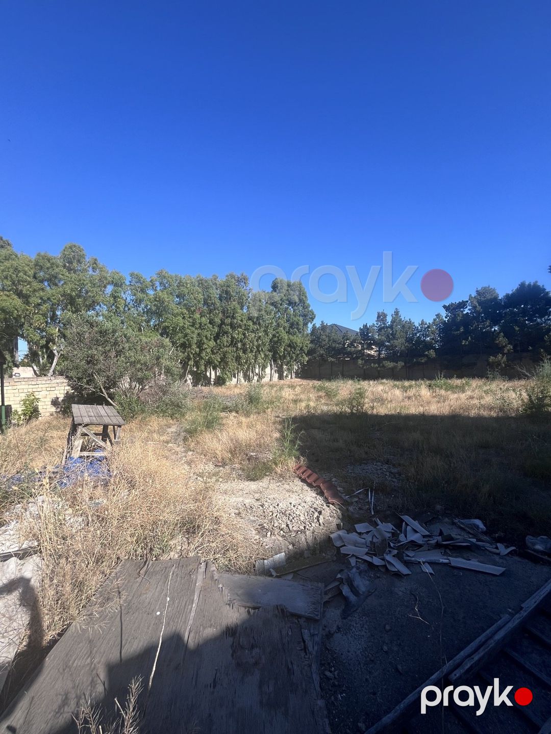 Satılır torpaq 11.5 sot — Torpaq, Bakı (3)