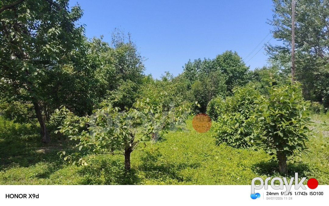 13 sot torpaq sahəsi, Ağdaş r — Torpaq, Ağdaş (4)