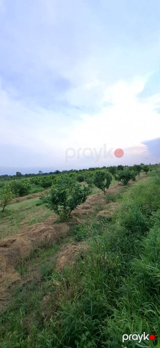 100 sot torpaq sahəsi, Xaçmaz r — Torpaq, Xaçmaz (8)