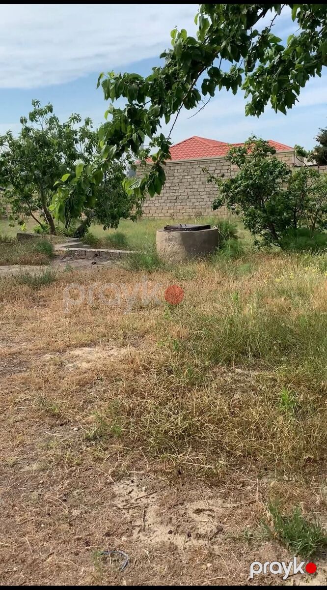 Satılır torpaq 11 sot — Torpaq, Bakı (6)