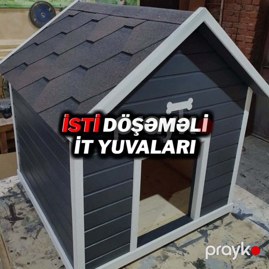 İt yuvaları — Heyvan malları, Bakı (2)