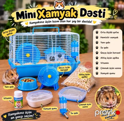 Mini dağsiçanı dəsti — Bakı