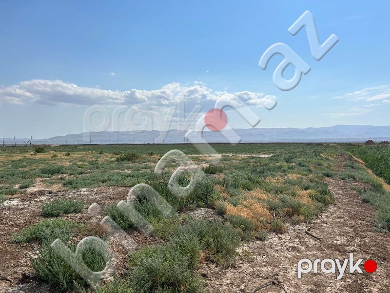 511 sot Torpaq, Satış, Xızı — Torpaq, Xızı (6)