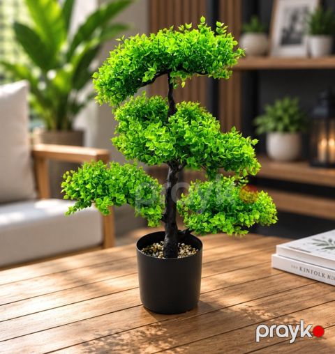 Süni Dekorativ Bonsay — Bakı