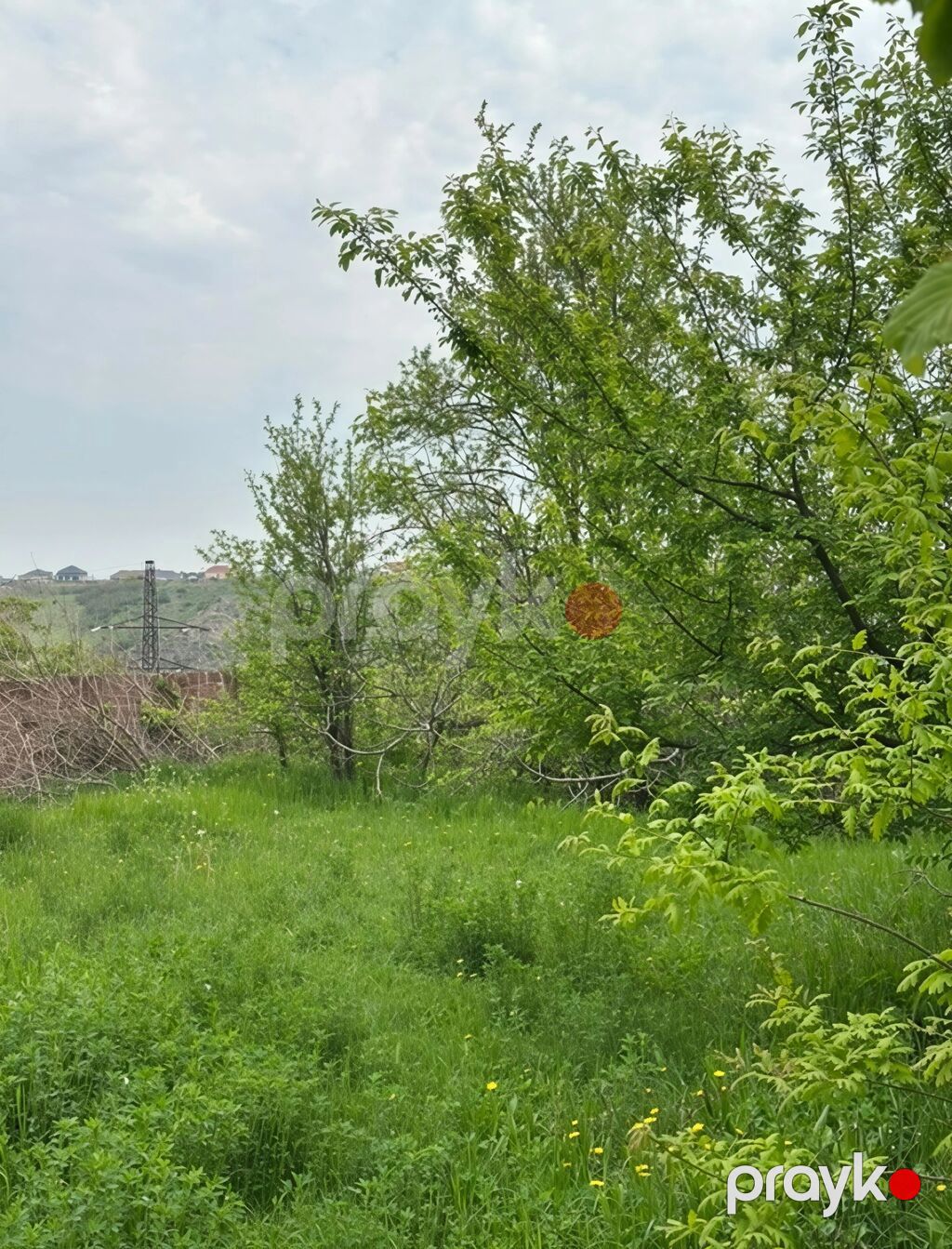 31 sot, Tikinti, Mülkiyyətçi, Kupça (Çıxarış) — Torpaq, Xaçmaz (7)