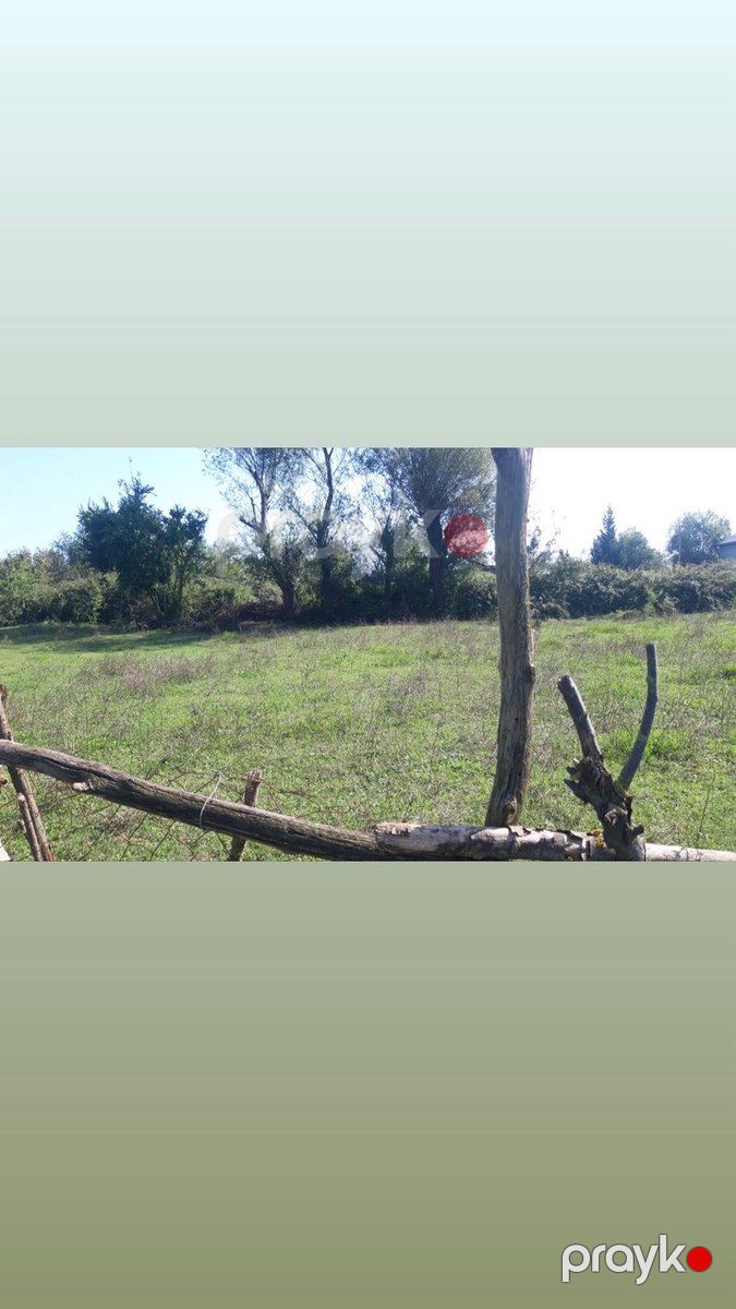 12 sot torpaq sahəsi, Astara r — Torpaq, Astara (5)