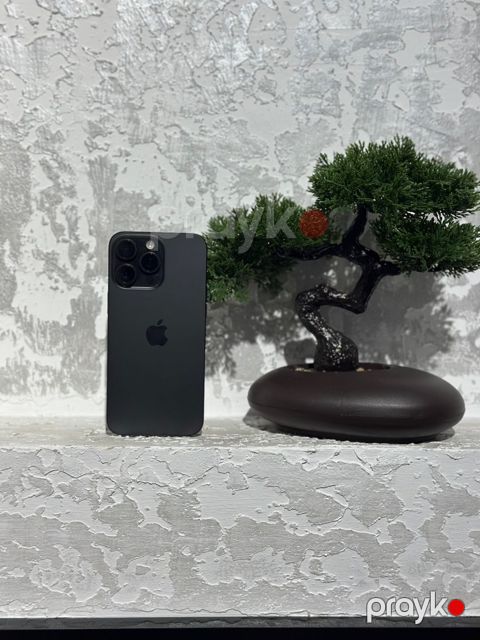 Apple iPhone 15 Pro Max Black Titanium 256GB/8GB — Bakı