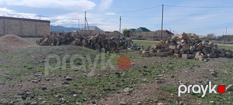 6 sot, Kupça (Çıxarış) — Şəmkir