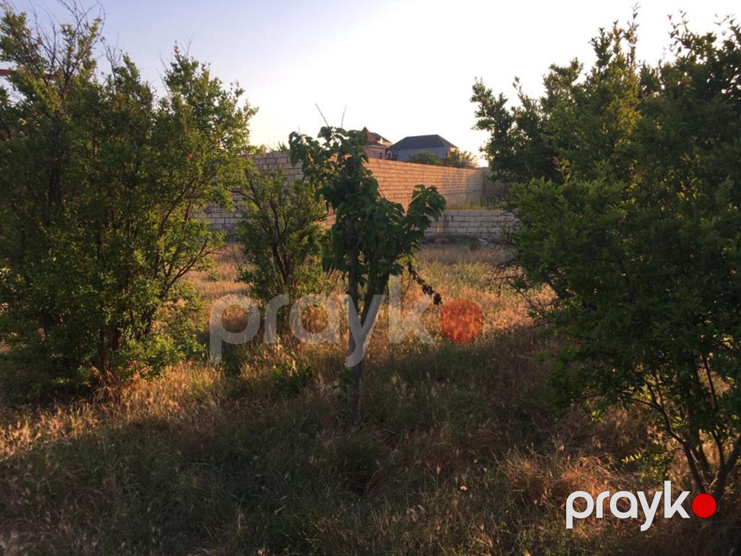 11 sot torpaq sahəsi, Novxanı qəs — Torpaq, Bakı (4)