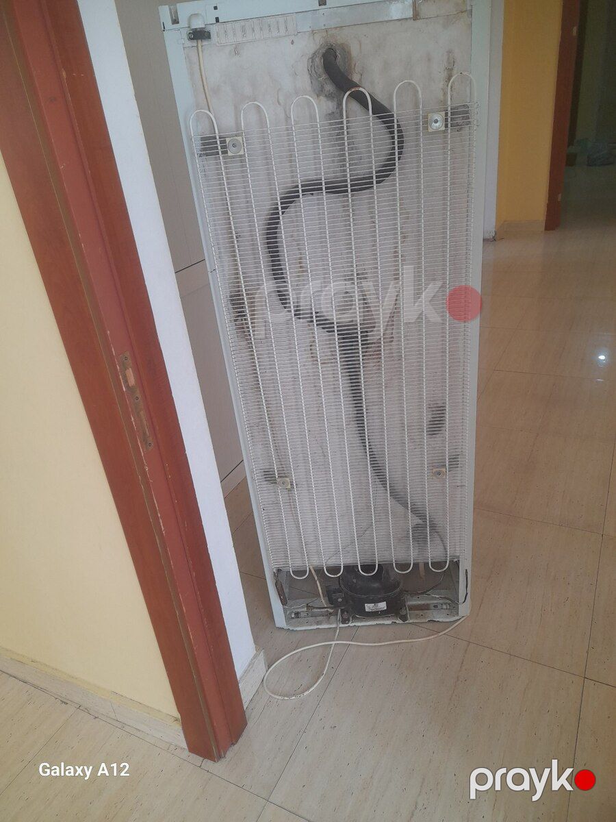 Soyuducu — Ev texnikası, Bakı (2)