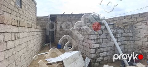 1 sot Torpaq, Satış, Bakı, Sabunçu, Koroğlu — Bakı