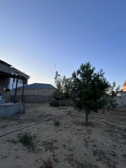 12 sot, Tikinti, Mülkiyyətçi, Kupça (Çıxarış) — Digah