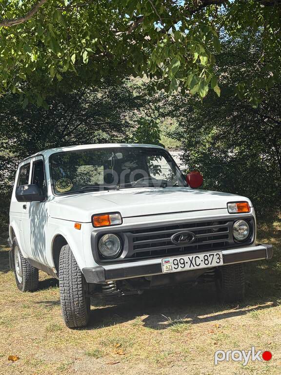 Lada (VAZ) Niva, 1.7 L, 2003 il, 172 000 km — Avtomobillər, İsmayıllı (5)