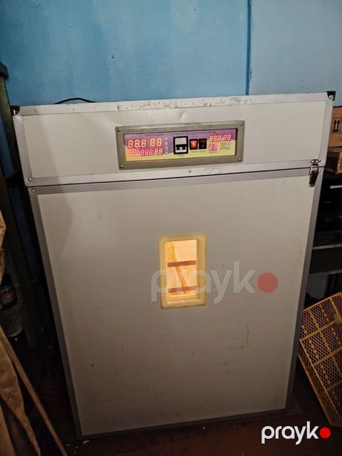 Bütün növ quşlar üçün — Bakı