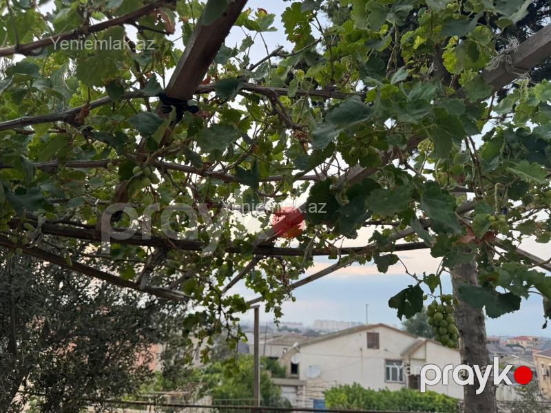 Satılır 3 otaqlı Həyət evi / Villa, 90 m², Saray — Ev, villa, Abşeron (4)