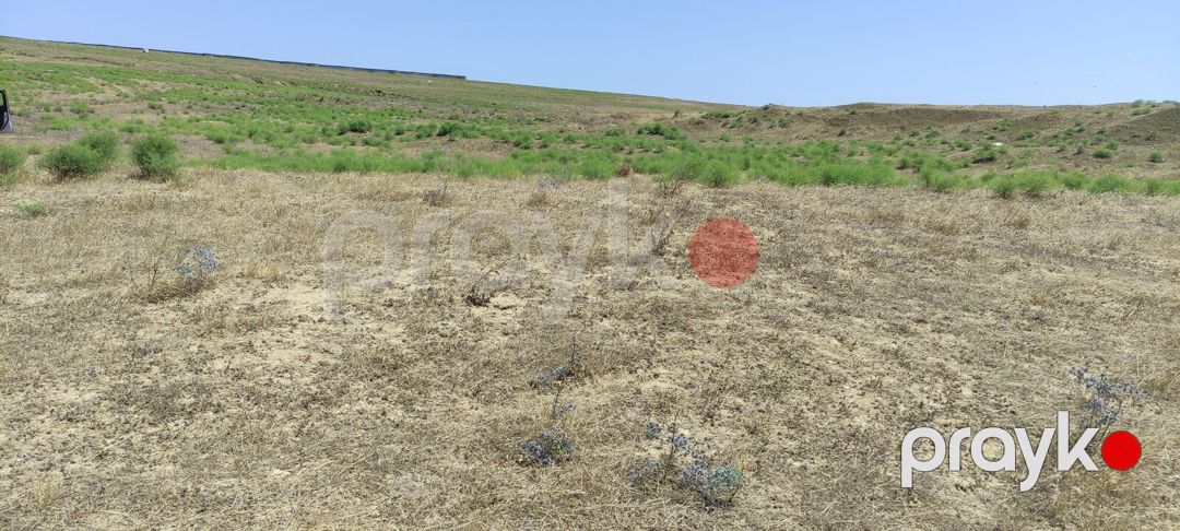 Satılır torpaq 81.5 sot — Torpaq, Bakı (5)