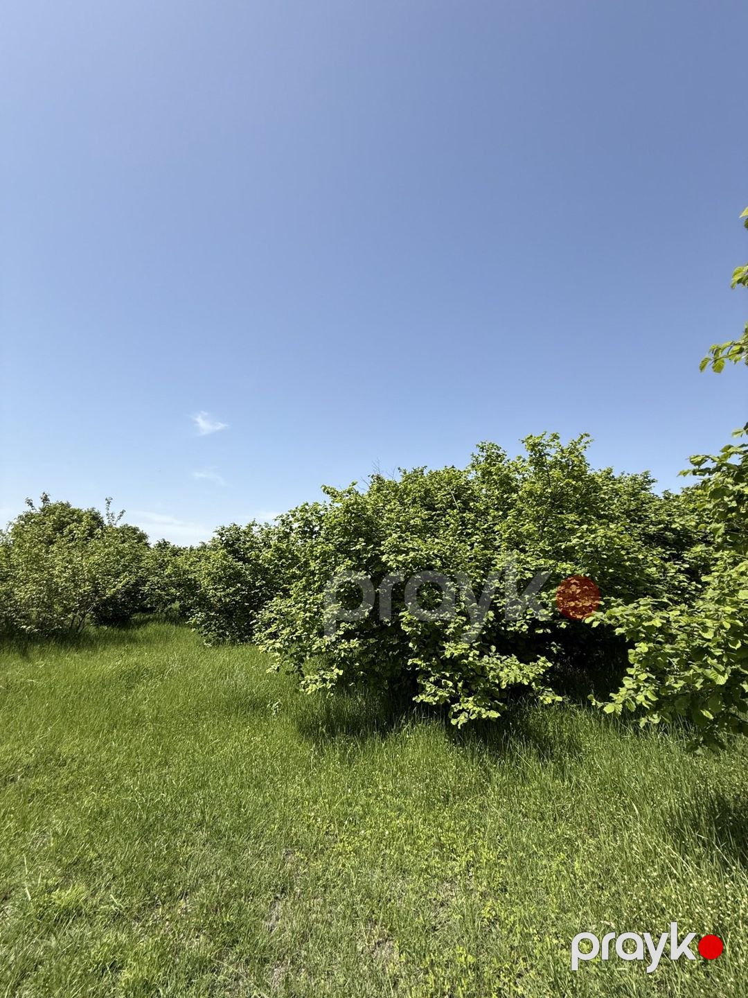 Satılır 4 otaqlı həyət evi/bağ evi 150 m² — Ev, villa, İsmayıllı (12)