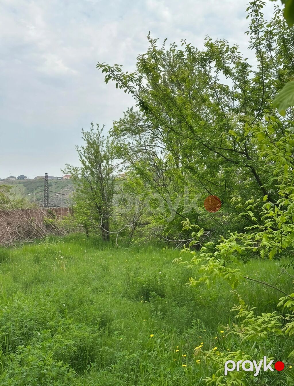 31 sot, Tikinti, Mülkiyyətçi, Kupça (Çıxarış) — Torpaq, Xaçmaz (7)