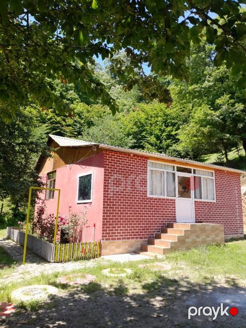 Bağ evi kirayə verilir, Lerik r — Lerik