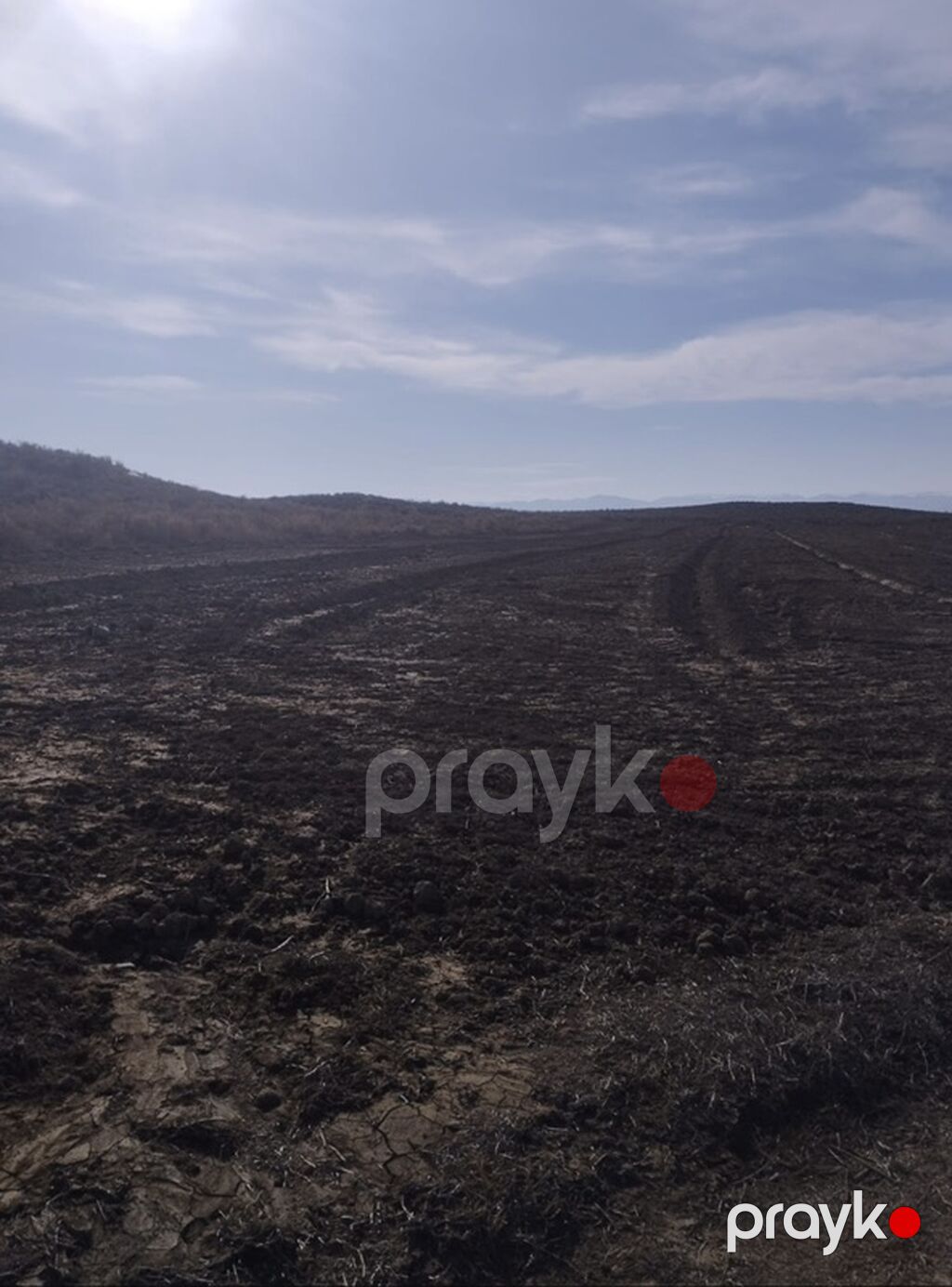 134 sot, Kənd təsərrüfatı, Mülkiyyətçi, Kupça (Çıxarış) — Torpaq, Şəmkir (2)