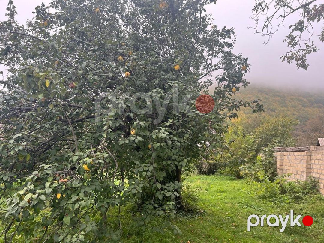 34 sot torpaq sahəsi, Oğuz rayonu — Torpaq, Oğuz (5)