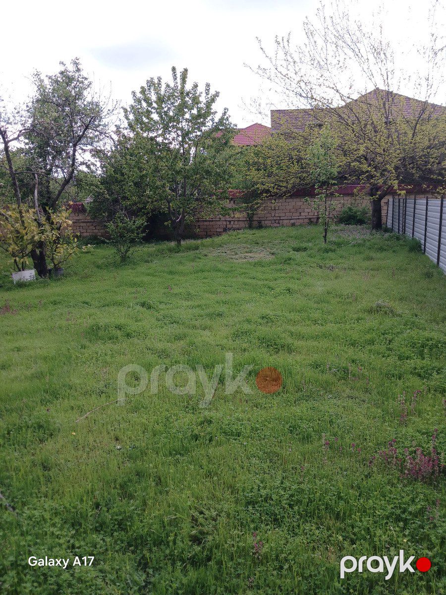Satılır torpaq 5 sot — Torpaq, İsmayıllı (7)
