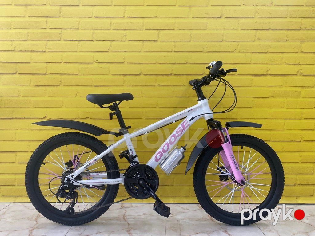 Velosiped "Goose 20" — Velosipedlər, Bakı (6)