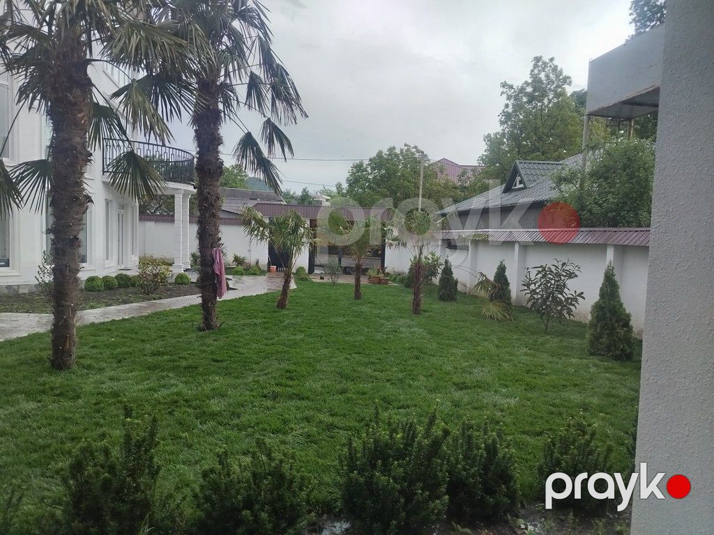 Qazon — Bitkilər, Bakı (7)