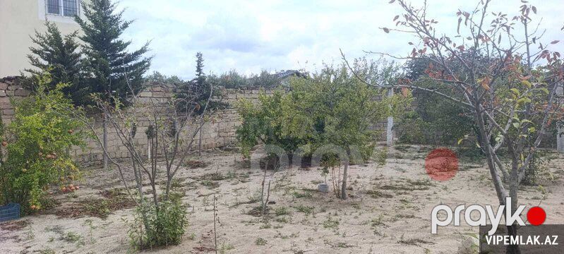 Sabunçu rayonunda Torpaq Satılır, 3 sot — Torpaq, Bakı (2)
