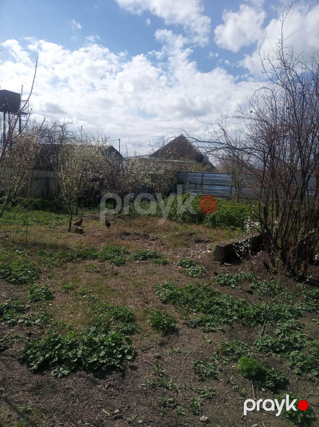 6 sot, Tikinti, Mülkiyyətçi, Kupça (Çıxarış) — Torpaq, Ağdaş (2)