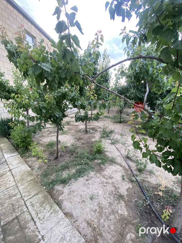 Satılır 6 otaqlı həyət evi/bağ evi 300 m² — Ev, villa, Bakı (5)