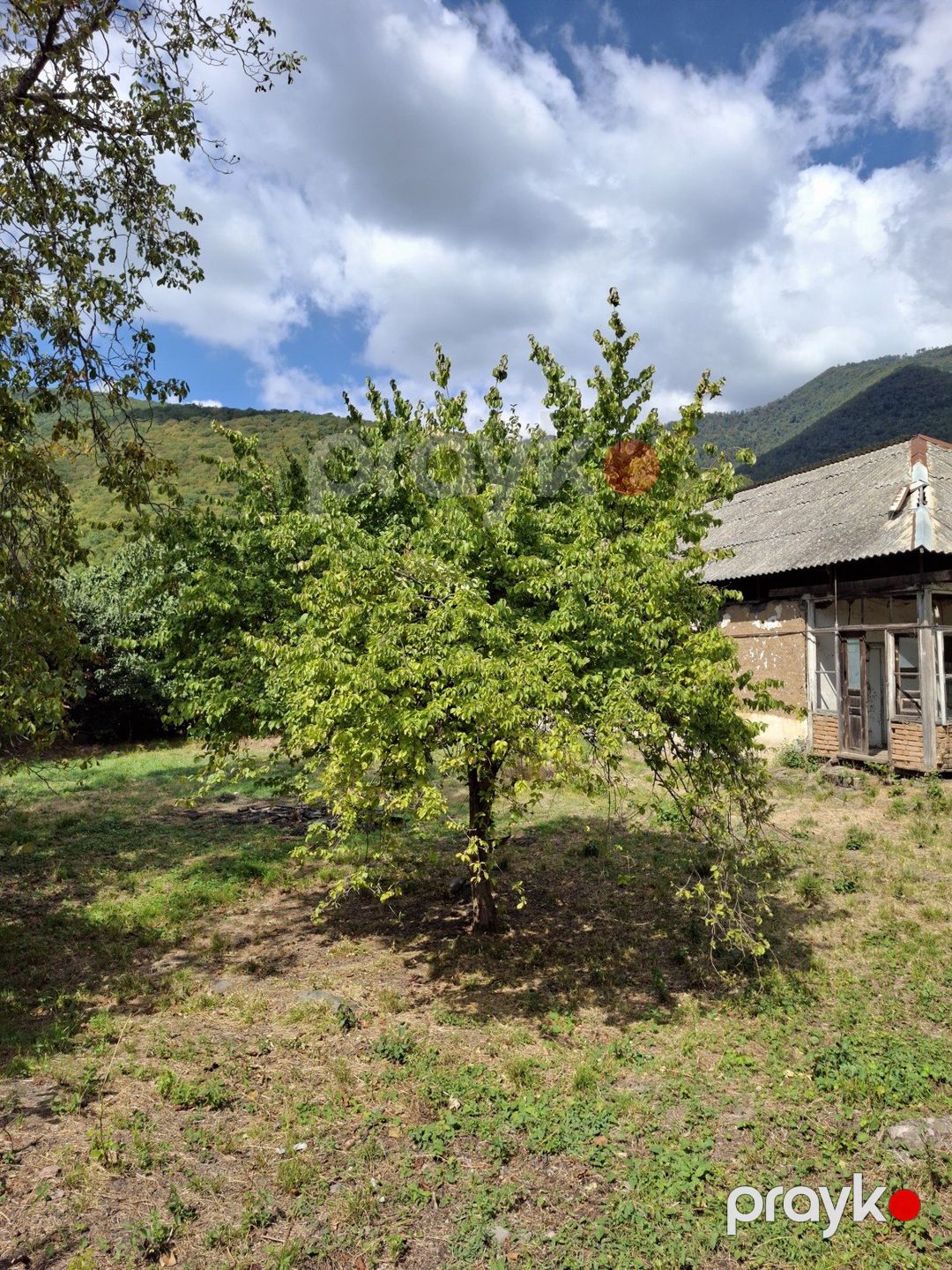 12 sot torpaq sahəsi, Oğuz r — Torpaq, Oğuz (8)