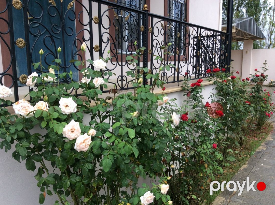Satılır 5 otaqlı həyət evi/bağ evi 170 m² — Ev, villa, Quba (11)