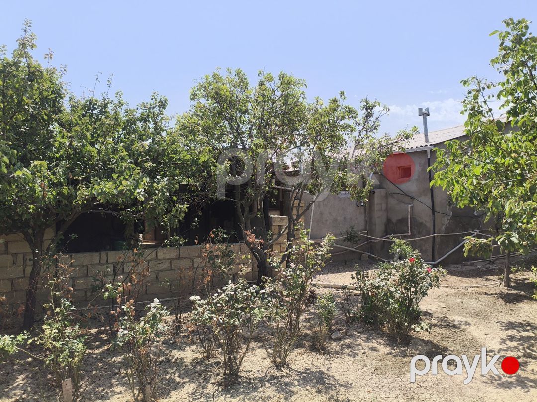 Həyət evi, Sumqayıt ş — Ev, villa, Sumqayıt (6)