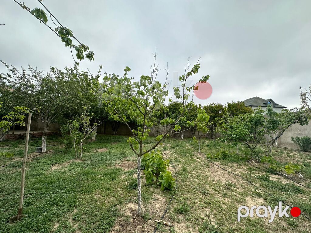 Satılır torpaq 7 sot — Torpaq, Bakı (5)