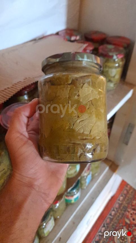 Bankada üzüm yarpağı — Bakı