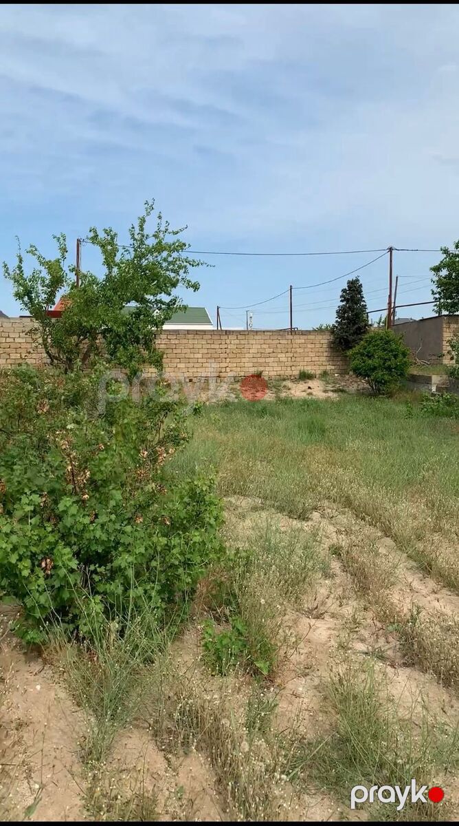 Satılır torpaq 11 sot — Torpaq, Bakı (8)