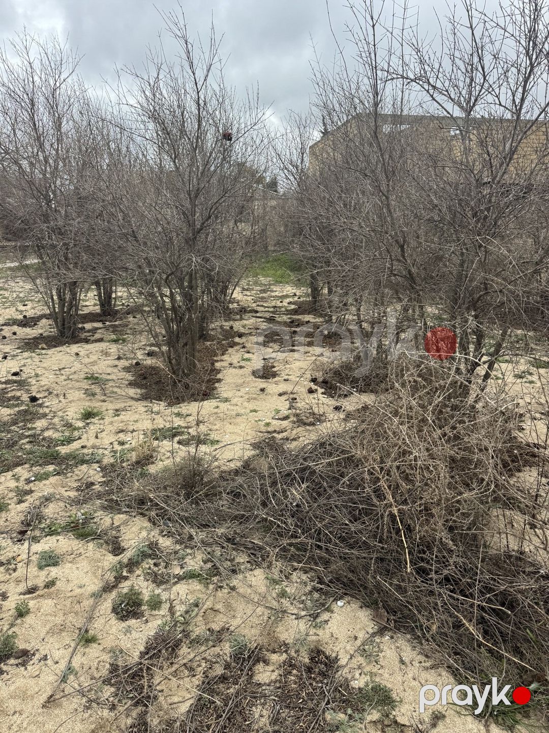 Satılır torpaq 2 sot — Torpaq, Bakı (4)