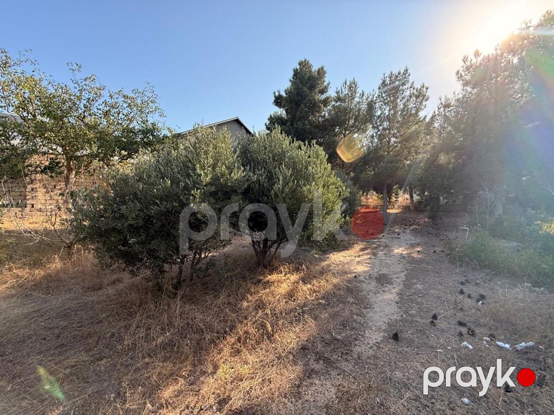 Satılır torpaq 19 sot — Torpaq, Bakı (3)