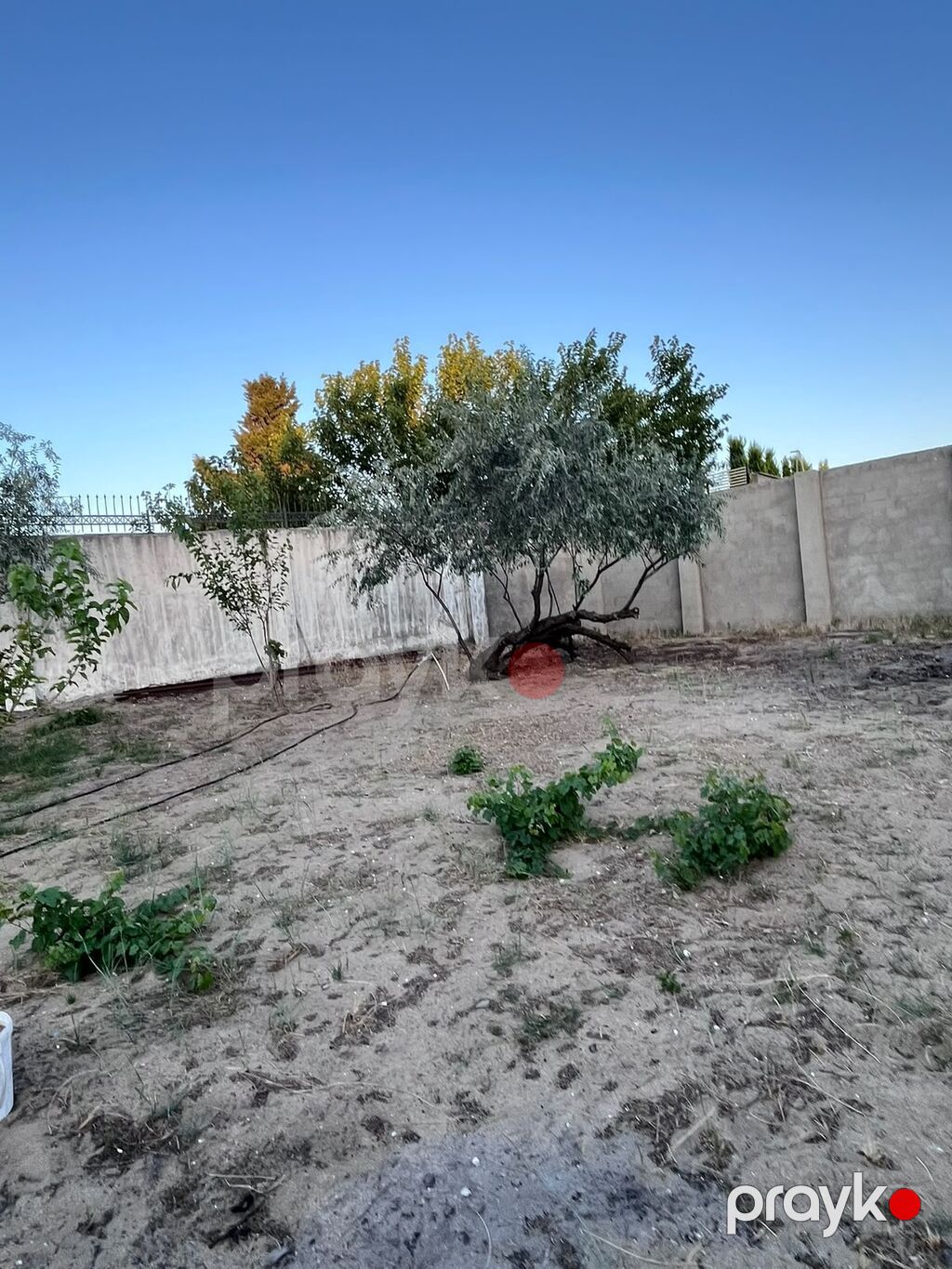 11 sot, Tikinti, Mülkiyyətçi, Kupça (Çıxarış) — Torpaq, Digah (7)