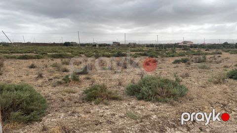 6 sot torpaq sahəsi, Yaşma bağları — Sumqayıt